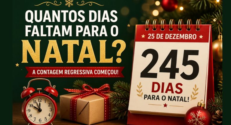 faltam quantos dias para o natal